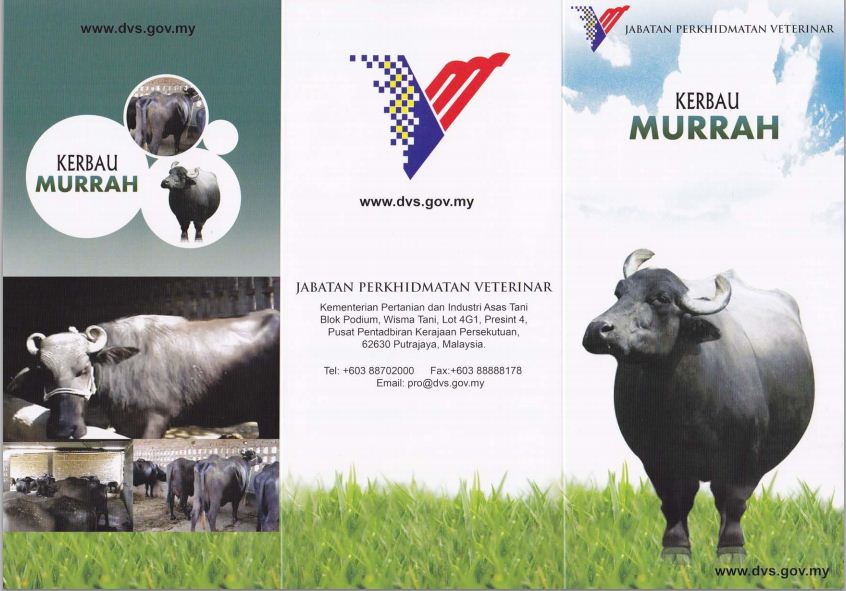 baka lembu